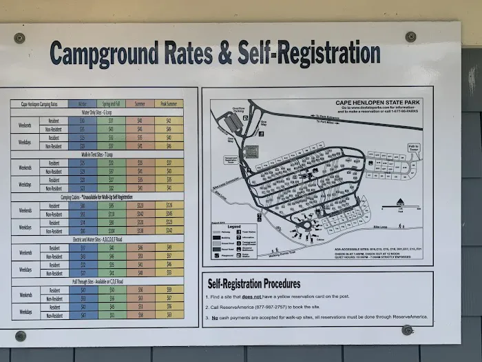 Cape Henlopen State Park Campground Picture 9