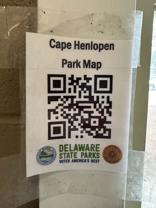 Cape Henlopen State Park Campground Picture 10