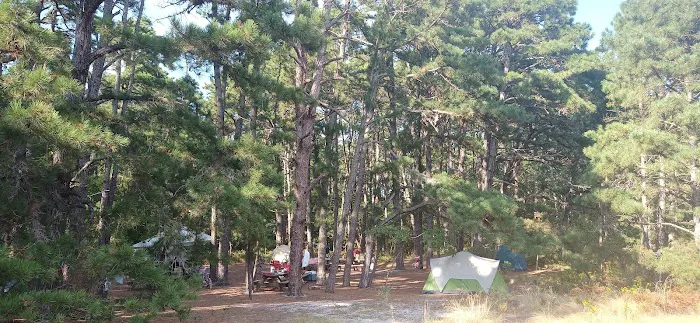 CHSP Group Camp sites Picture 3