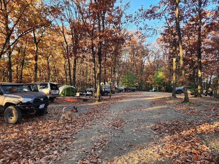 Mossy Point Campground Picture 6