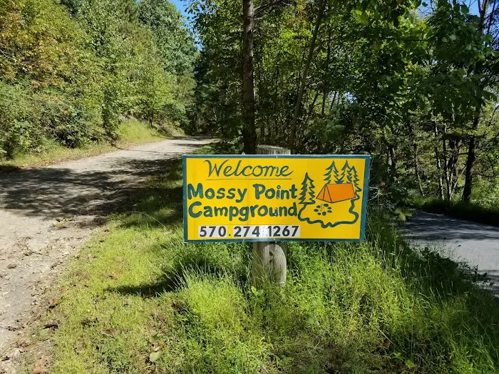 Mossy Point Campground Picture 9