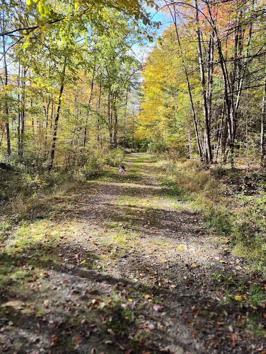 Aspen Campground Picture 6