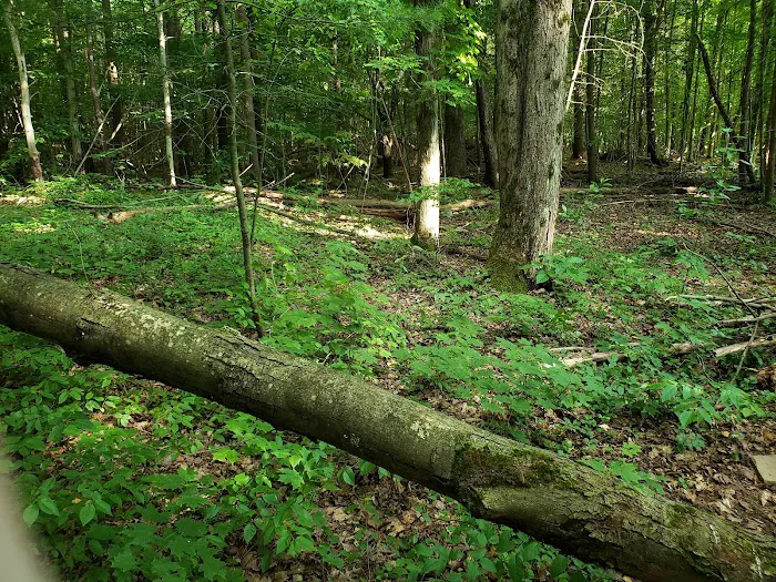 Fort Danby Picture 1