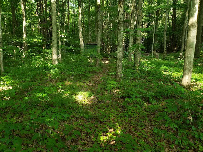 Fort Danby Picture 2