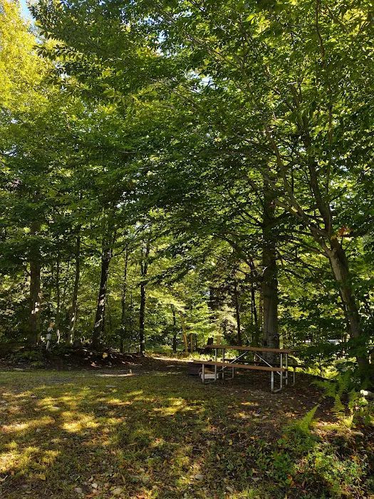 Autumn Moon Campground Picture 7