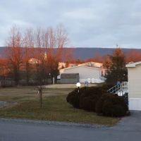 Country View Estates ico