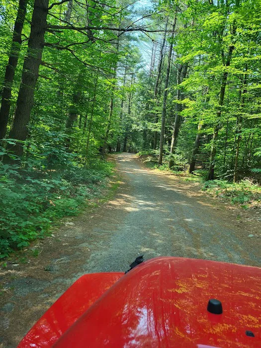 Whispering Pines Campsites & RV Park Picture 8