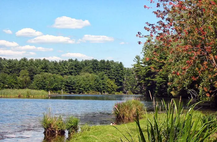 River Pines Picture 1