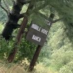 Ponderosa Park