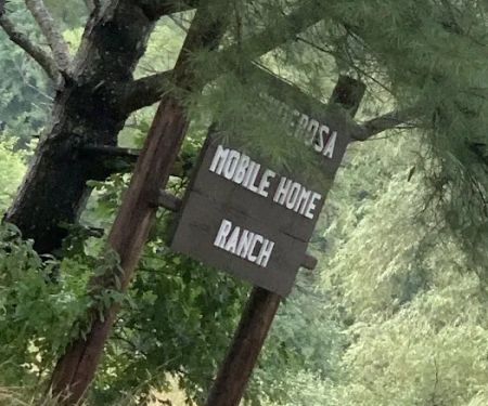 Ponderosa Park