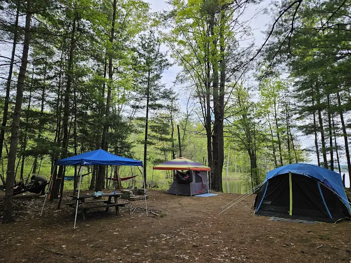 Northampton Beach Campground Picture 2