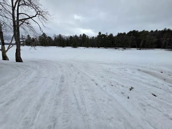 Northampton Beach Campground Picture 9