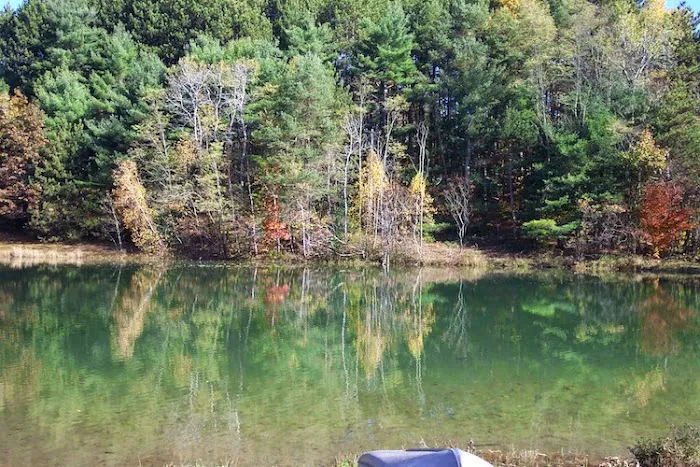 Rustic Barn Campground Picture 2