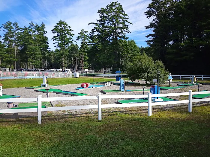 Camp Kelly Campground Picture 6