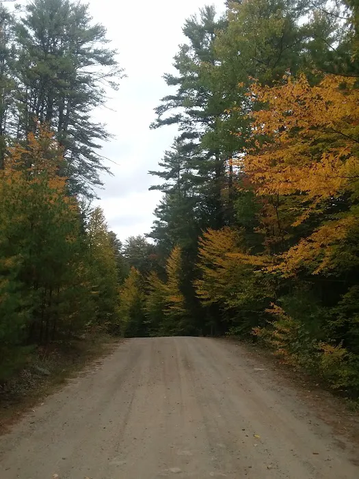 Loon Lake RV Park Picture 10