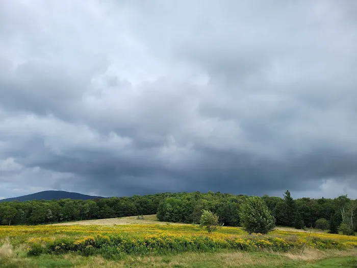 Grateful Acres Vermont Picture 3