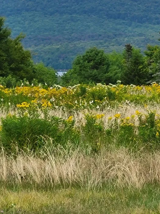 Grateful Acres Vermont Picture 5
