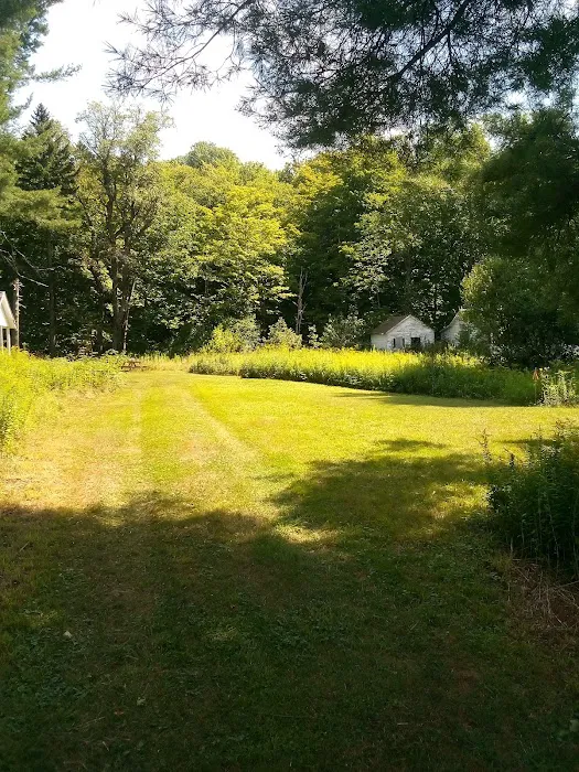 Gus's Gardens Camping Picture 1