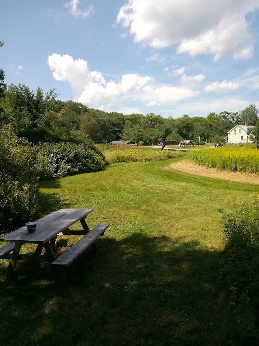 Gus's Gardens Camping Picture 4