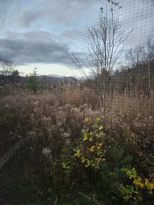 Gus's Gardens Camping Picture 10