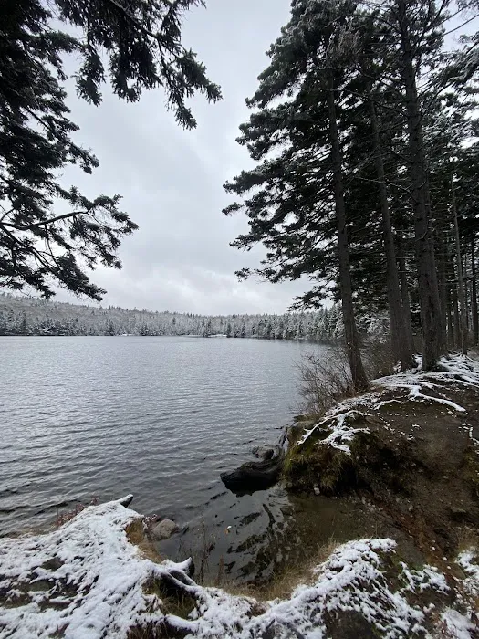 Grout Pond Campsites Picture 3