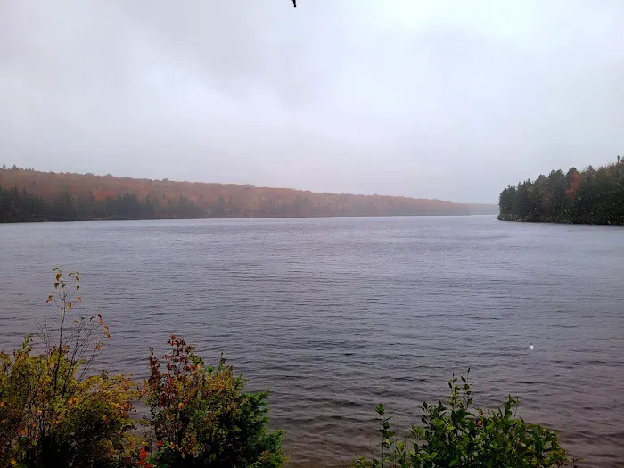 Grout Pond Campsites Picture 1