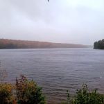 Grout Pond Campsites