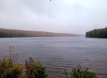 Grout Pond Campsites