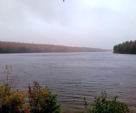 Grout Pond Campsites