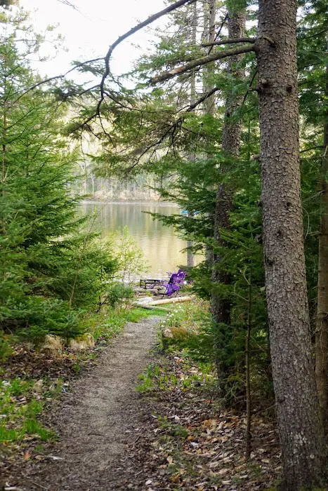 Grout Pond Campsites Picture 8
