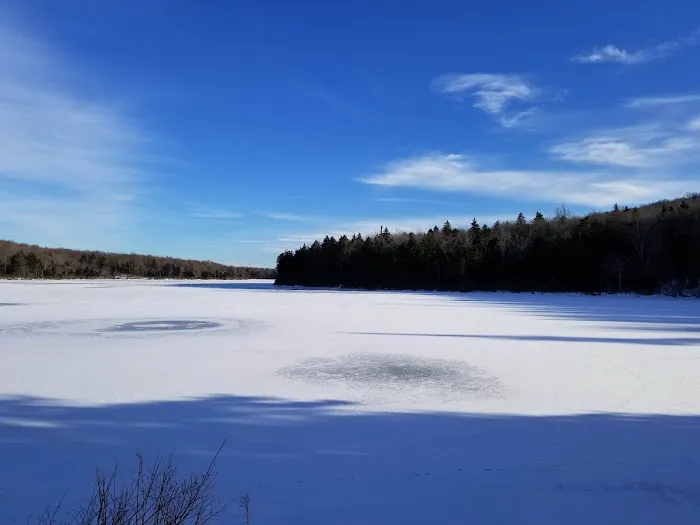 Grout Pond Campsites Picture 10