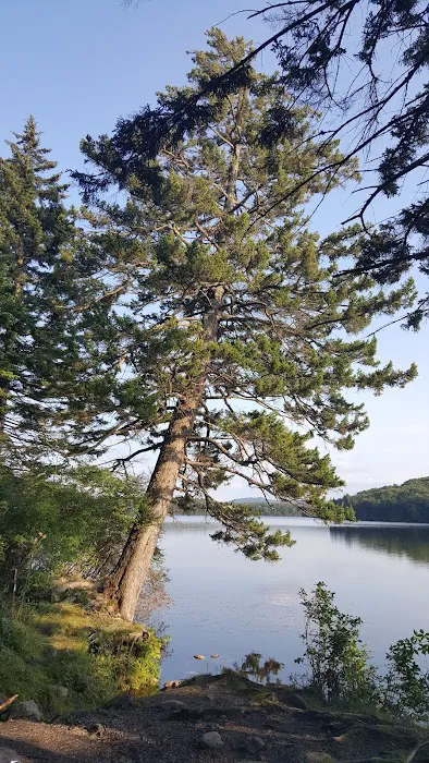 Grout Pond Recreation Area Picture 2