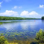 Grout Pond Recreation Area