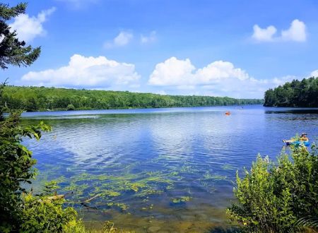 Grout Pond Recreation Area