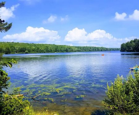 Grout Pond Recreation Area