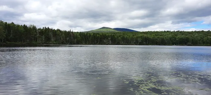 Grout Pond Recreation Area Picture 4