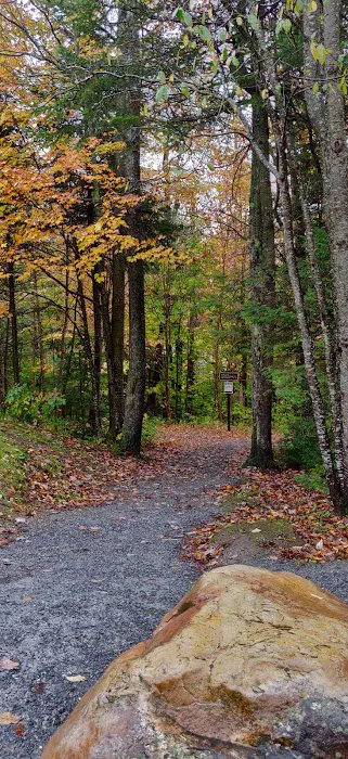 Grout Pond Recreation Area Picture 3