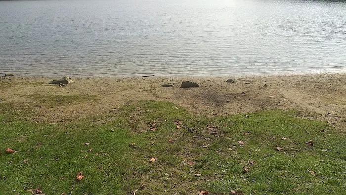 Grout Pond Recreation Area Picture 8