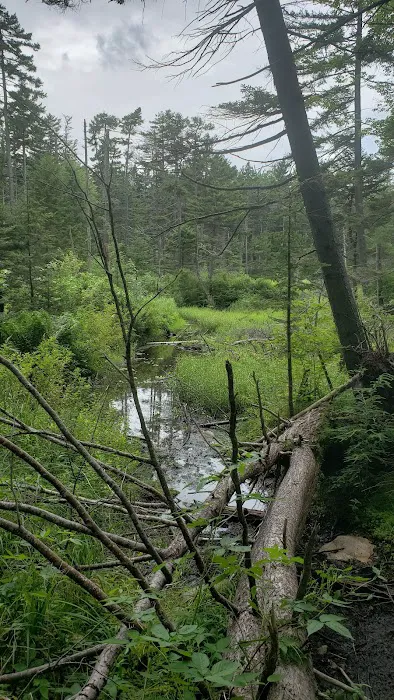 Grout Pond Recreation Area Picture 10