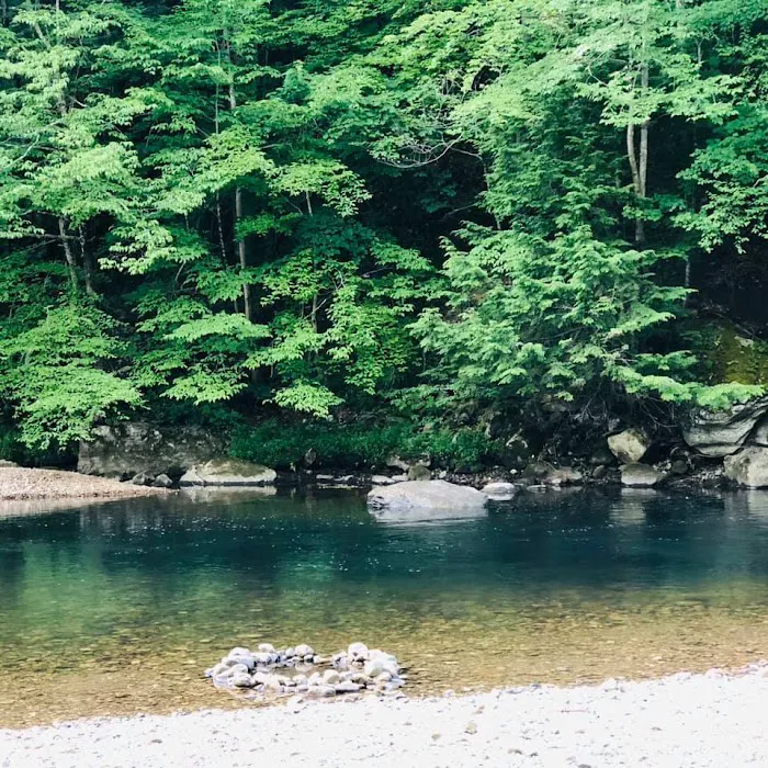 Camping On The Battenkill Picture 9