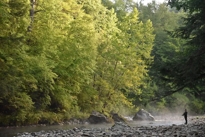 Camping On The Battenkill Picture 7