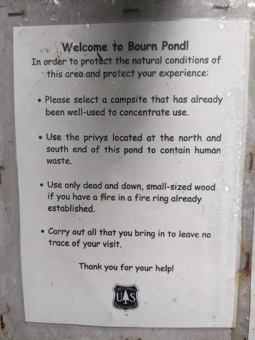 Bourne Pond Tenting Area Picture 1