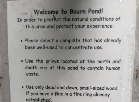 Bourne Pond Tenting Area