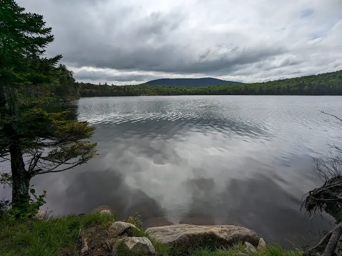 Stratton Pond Tenting Area Picture 1