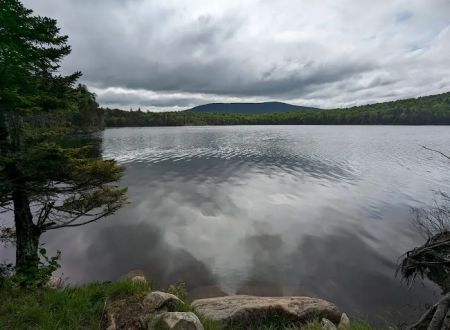 Stratton Pond Tenting Area