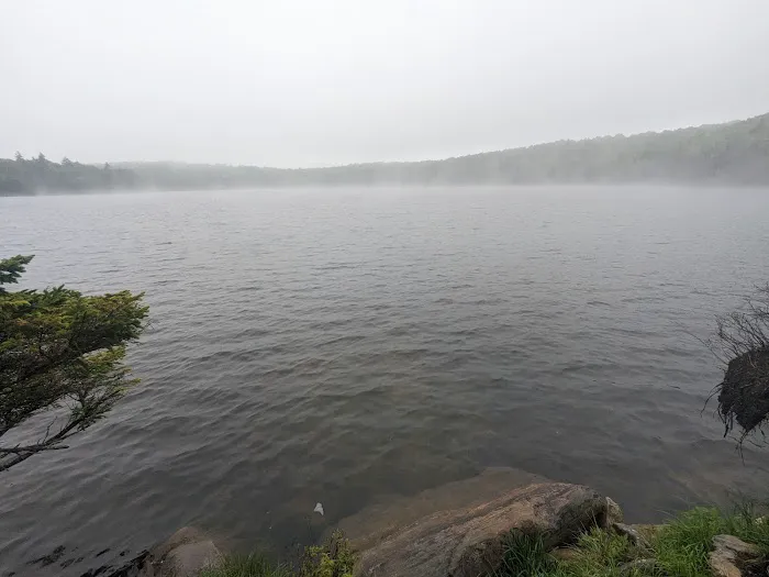 Stratton Pond Tenting Area Picture 3