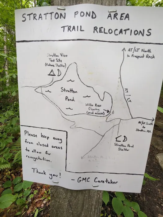 Stratton Pond Tenting Area Picture 4