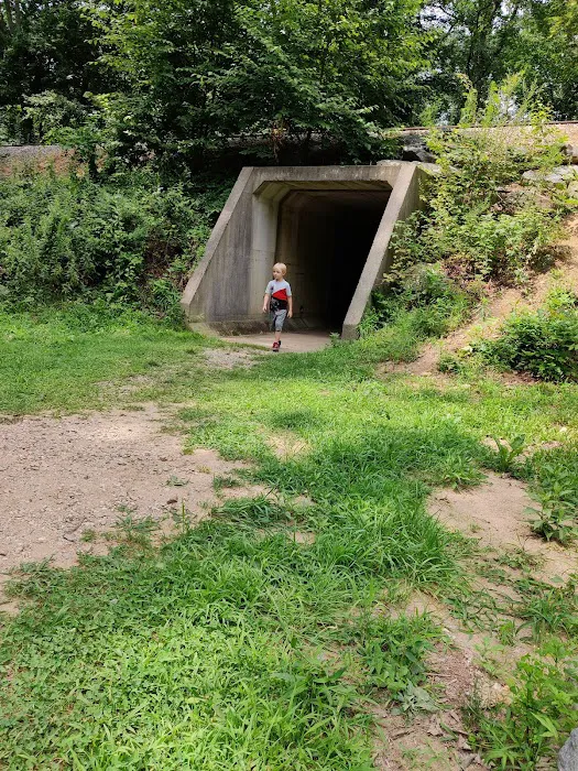 Salt Rock State Campground Picture 6