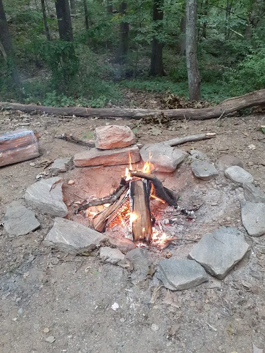Salt Rock State Campground Picture 9