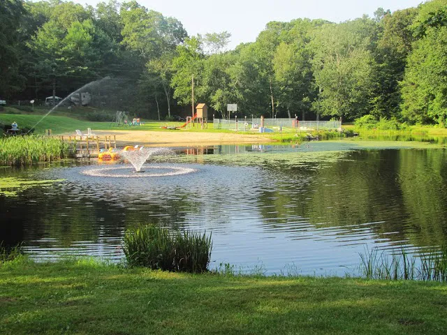 Sunfox Campground LLC Picture 3